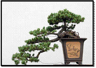 http://img.pconline.com.cn/images/upload/upc/tx/photoblog/1204/02/c4/11122421_11122421_1333344396375.jpg